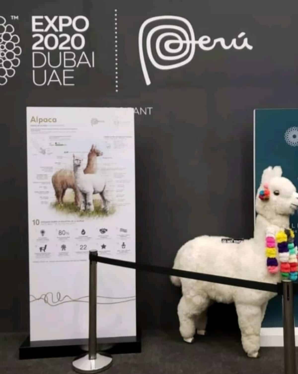 El artista venezolano que creó la alpaca que las Kardashian le regalaron a Paris Hilton