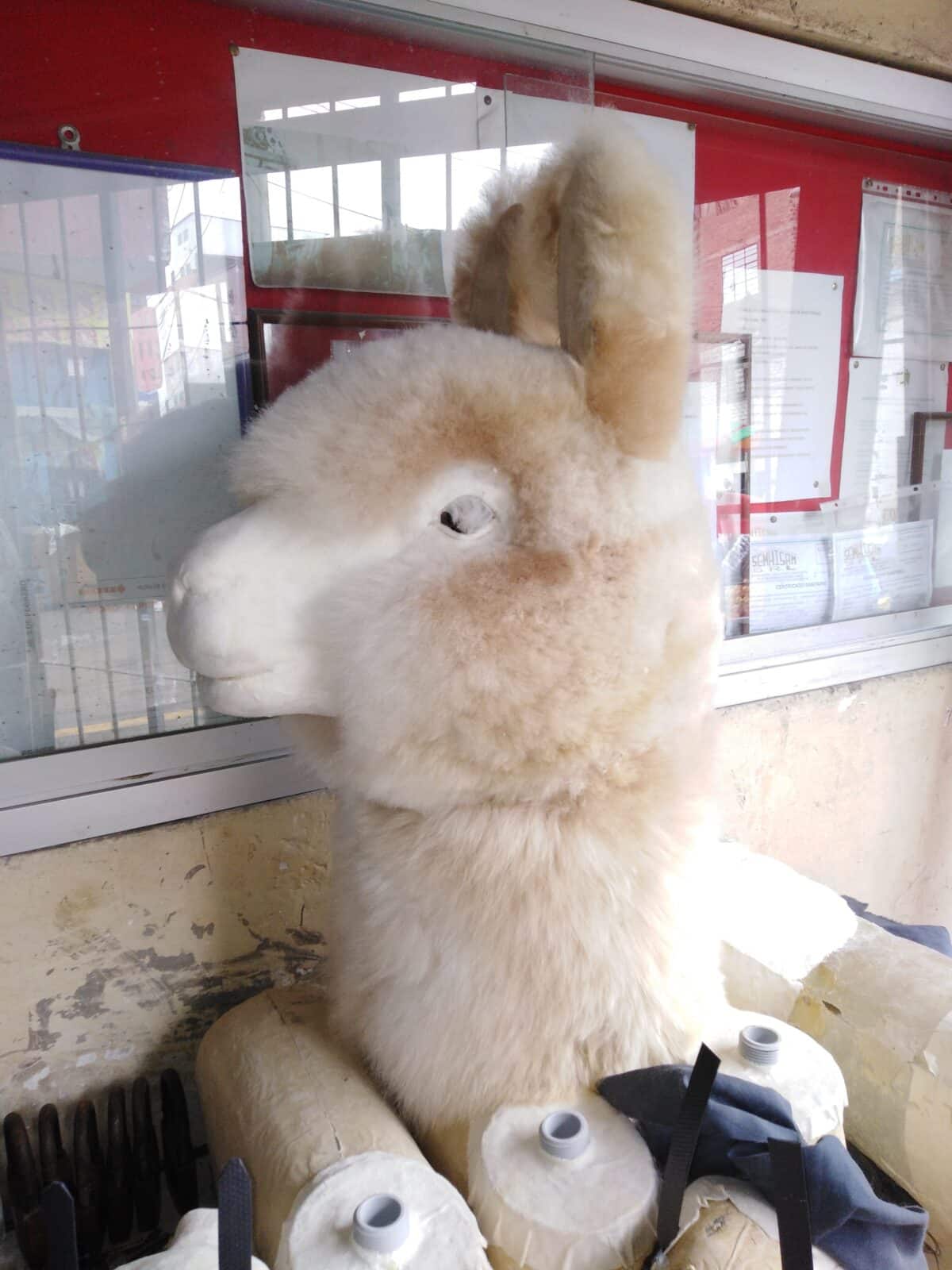 El artista venezolano que creó la alpaca que las Kardashian le regalaron a Paris Hilton
