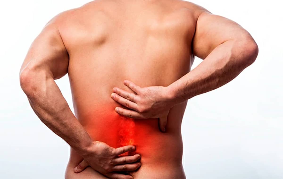 Desarrollaron un parche biológico para reparar hernias discales de la espalda