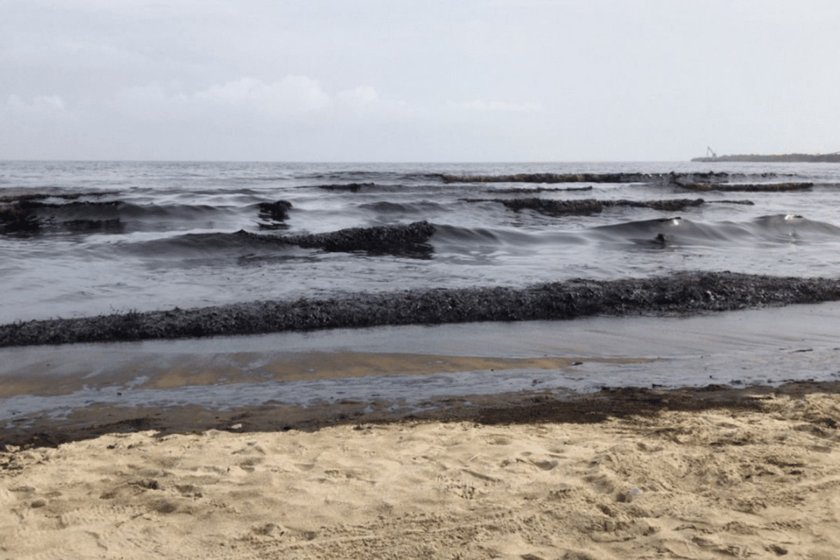 PDVSA aseguró que sanearon más del 80 % de la costa afectada por un derrame de petróleo en Carabobo 