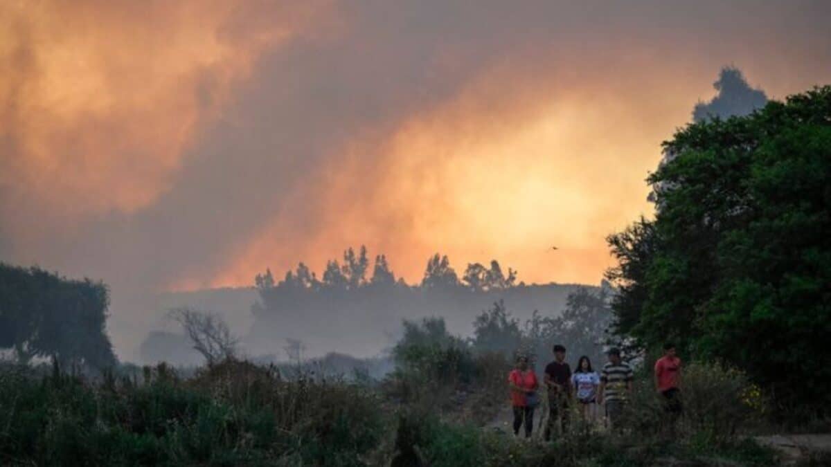Incendios forestales en Chile han dejado heridos y decenas de damnificados 