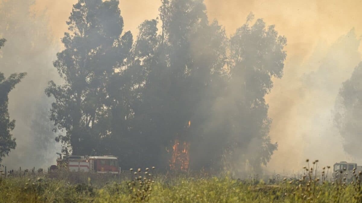 Incendios forestales en Chile han dejado heridos y decenas de damnificados 