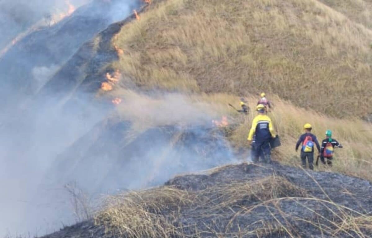 Incendio afectó 250 hectáreas del parque Henri Pittier en Aragua