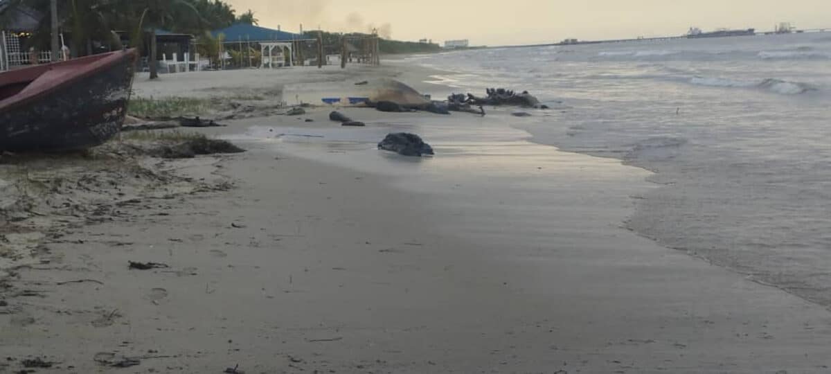 PDVSA aseguró que sanearon más del 80 % de la costa afectada por un derrame de petróleo en Carabobo 