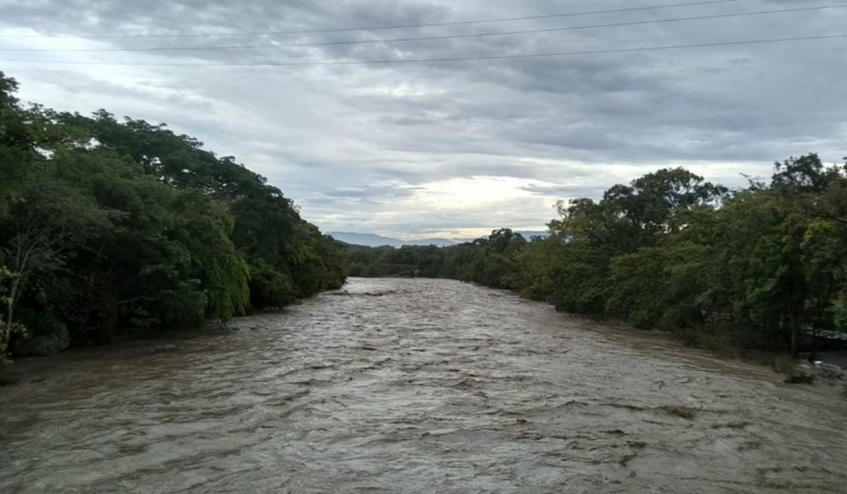 Advirtieron que un nuevo desbordamiento del río Zulia impactaría en la producción del sector ganadero y agrícola