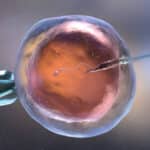 In vitro