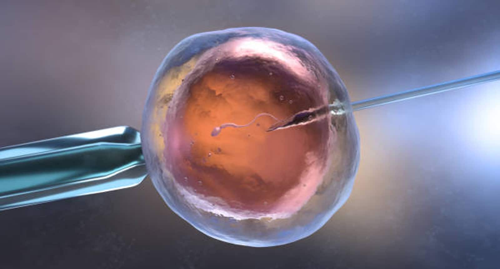 In vitro