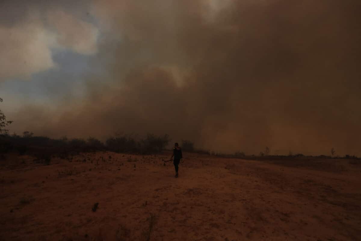 Incendios forestales en Chile: aumenta a 56 la cifra de muertos en Valparaíso