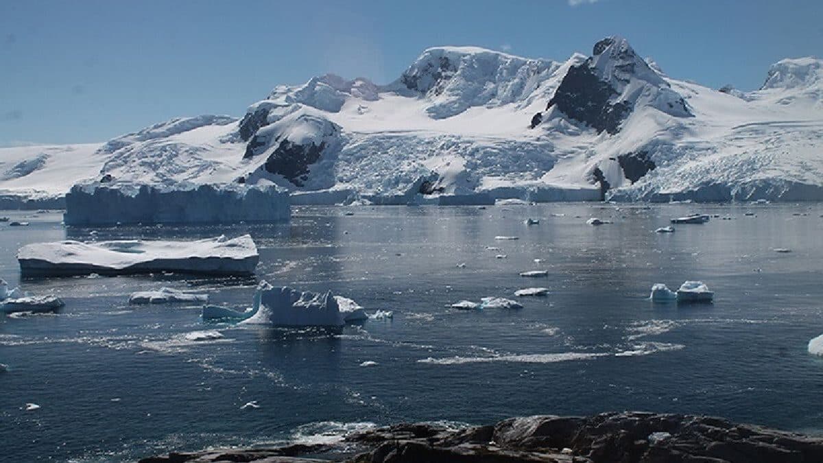 Olas de calor marinas en el océano Ártico serán un fenómeno habitual en el futuro
