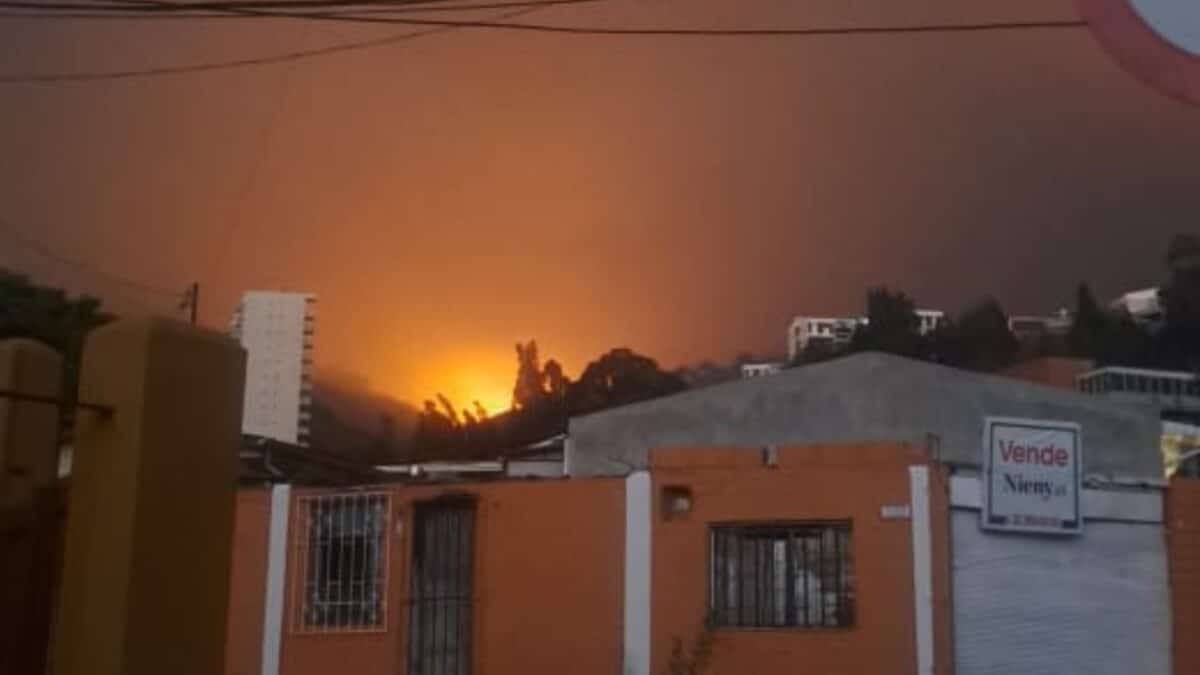 Migrantes venezolanos se unieron para atender a las víctimas de los incendios forestales en Chile