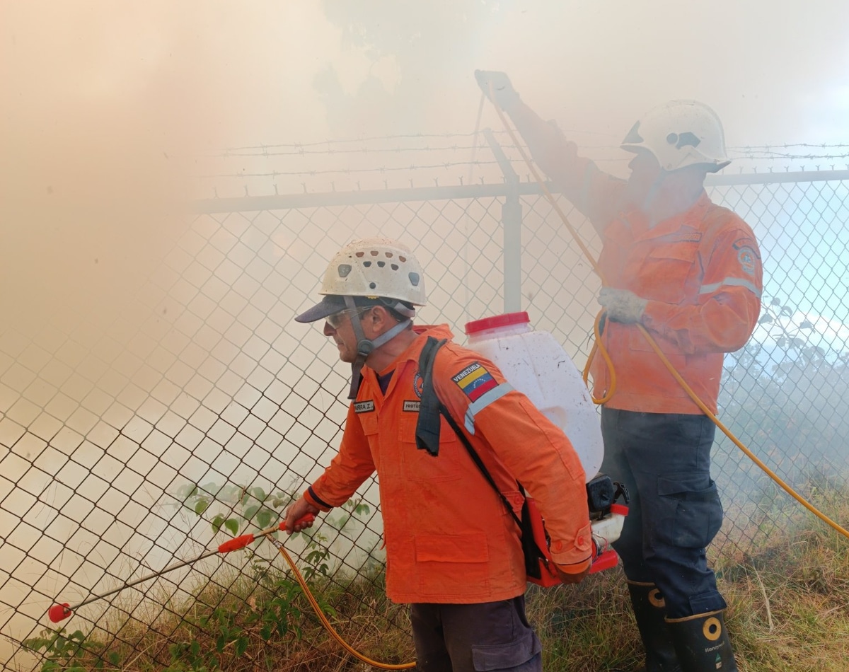 Incendios en Táchira consumieron al menos 184 hectáreas 