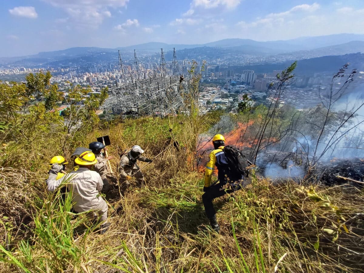 Sunep-Inparques pide tomar previsiones ante temporada de incendios forestales en Venezuela