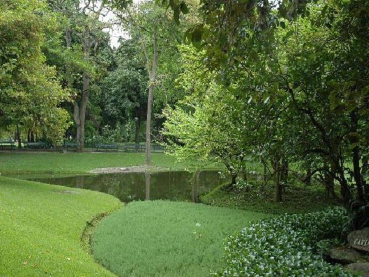 Guía de sitios abiertos para disfrutar de la naturaleza en la Gran Caracas