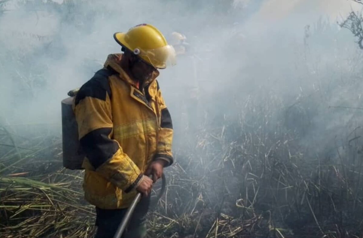 Reportan al menos 30 hectáreas afectadas por un incendio en Mérida