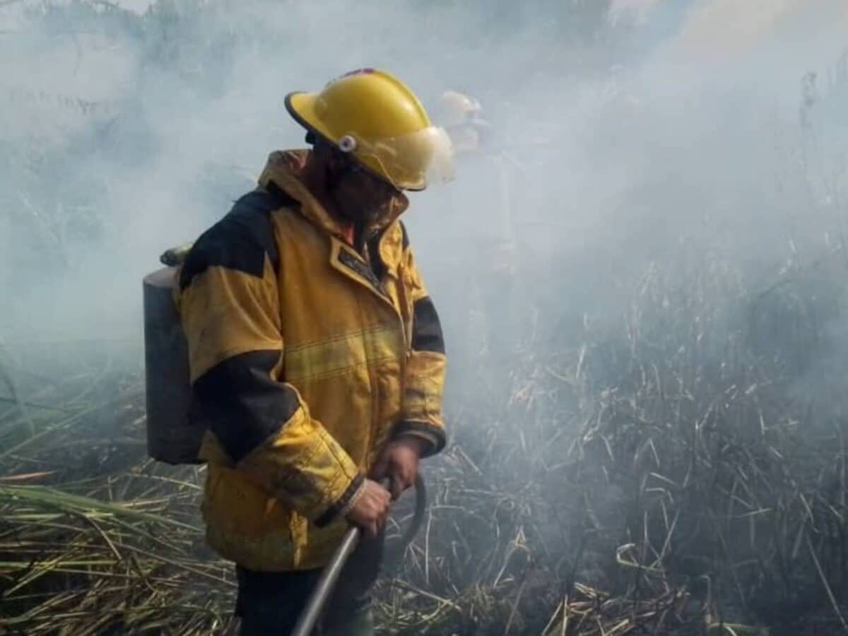 Desplegaron bomberos forestales para combatir incendio en el Parque Nacional Canaima
