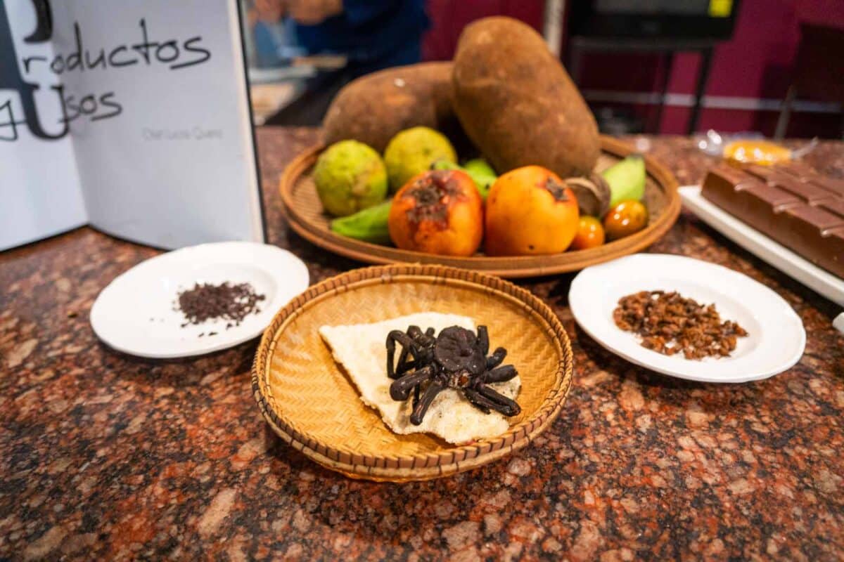 Chef Lucía Quero, Chef Lucy Quero, comida amazónica, Saborigenes, sabores aborígenes venezolanos, cocina indígena venezolana, gastronomía amazónica, ingredientes autóctonos venezolanos, cocina tradicional venezolana, platos típicos de la Amazonía, recetas indígenas venezolanas, chef especializada en comida amazónica, experiencia culinaria de Chef Lucy Quero, cocina ancestral venezolana, sabores de la selva venezolana, ingredientes de la Amazonía venezolana, innovación gastronómica con Chef Lucy Quero, El Diario, José Daniel Ramos