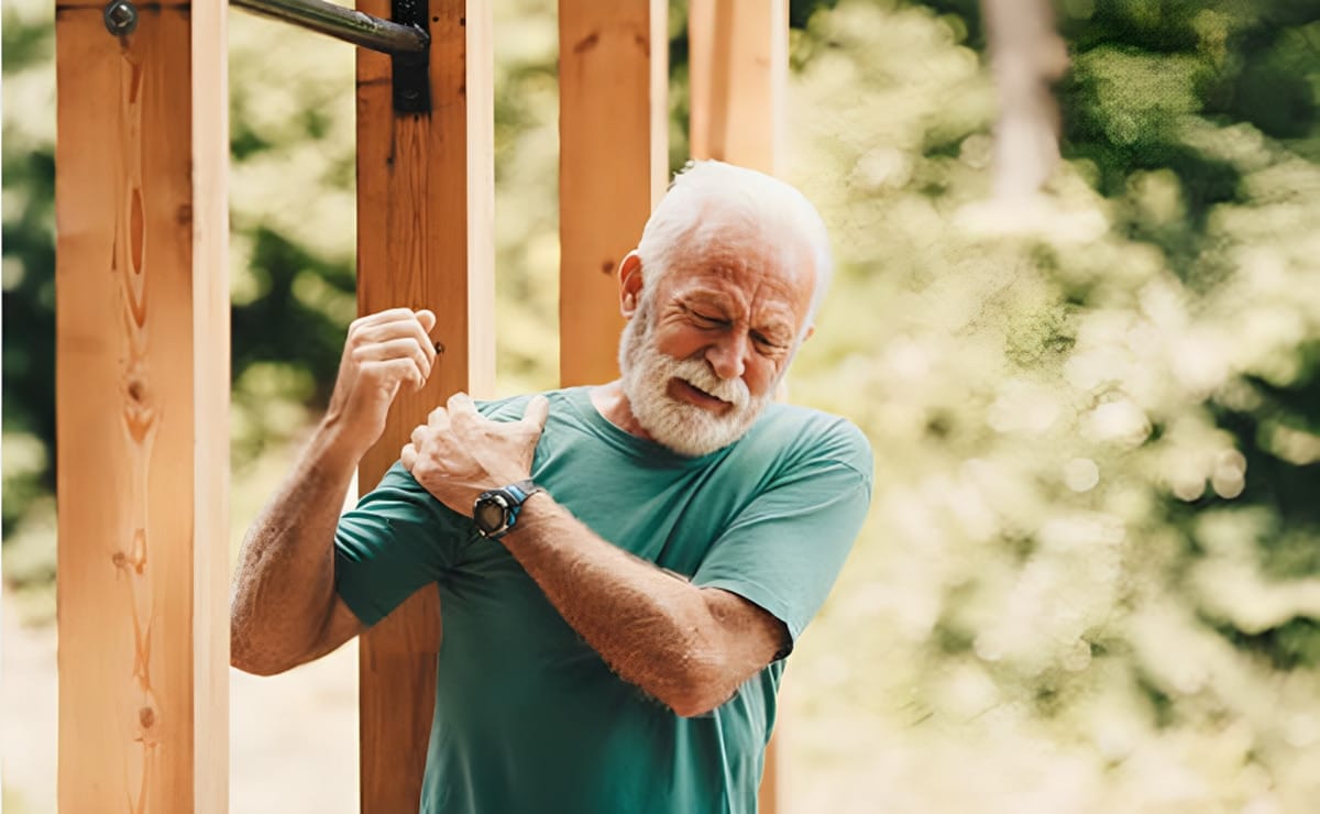 Crearon un atlas del músculo esquelético: ¿cómo ayudaría a retrasar el envejecimiento? 