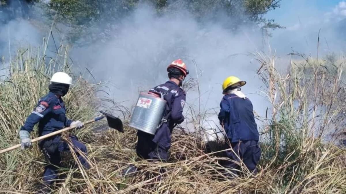 Autoridades de Mérida registraron al menos 290 incendios en los últimos días