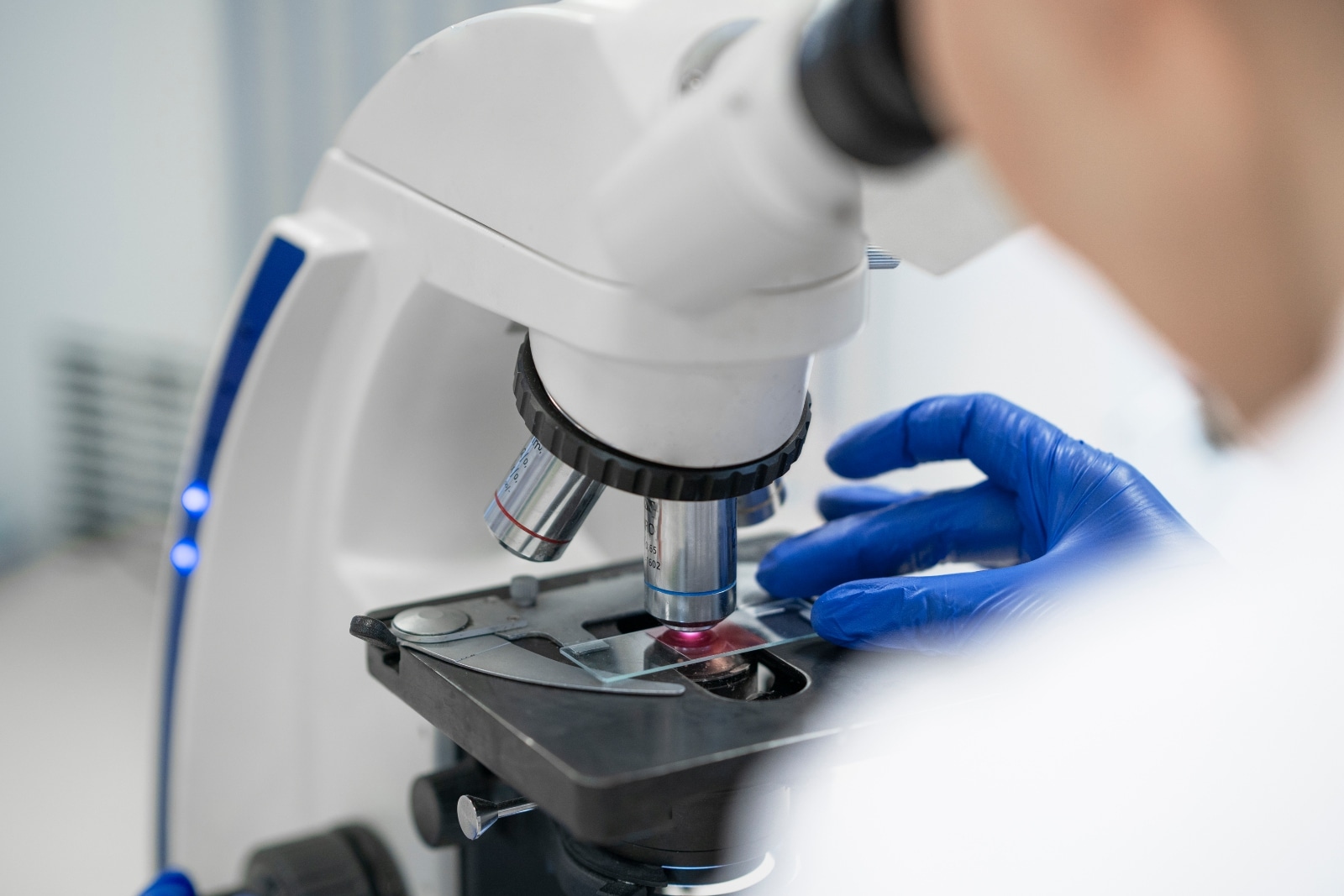 OMS: ¿Cuáles son las 15 bacterias peligrosas por su resistencia a los antibióticos?