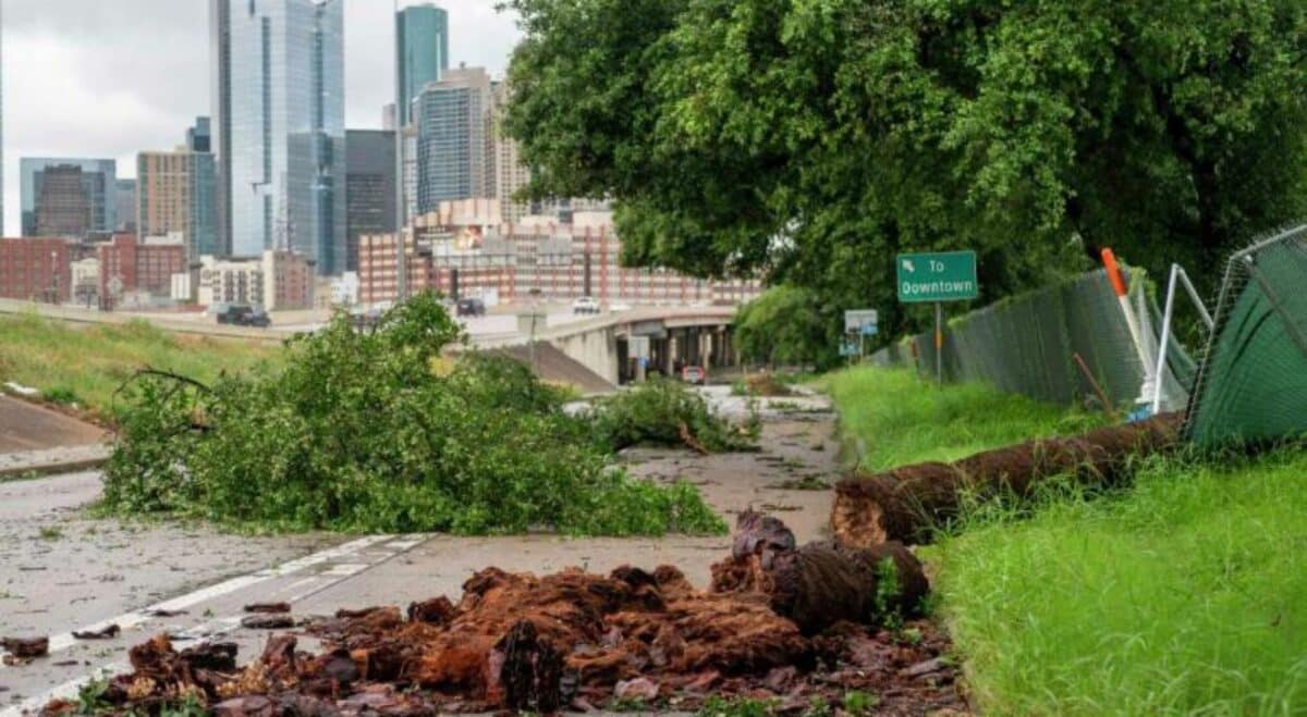 #TeExplicamosElDía | Sábado 18 de mayo