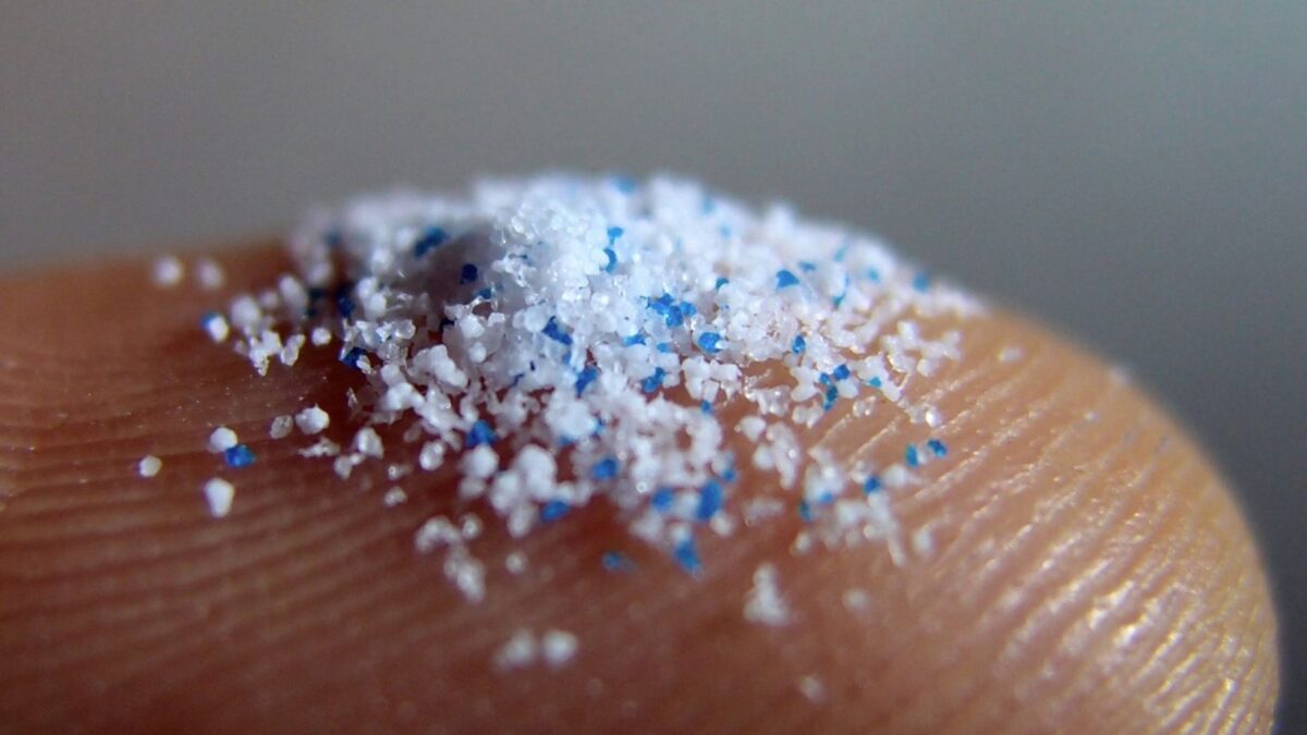 Científicos hallaron microplástico en testículos de humanos durante una investigación 