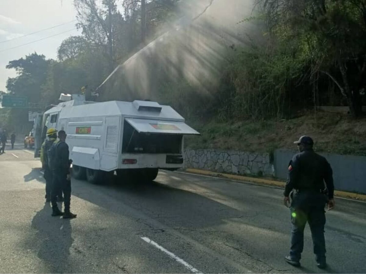 Borrador automático