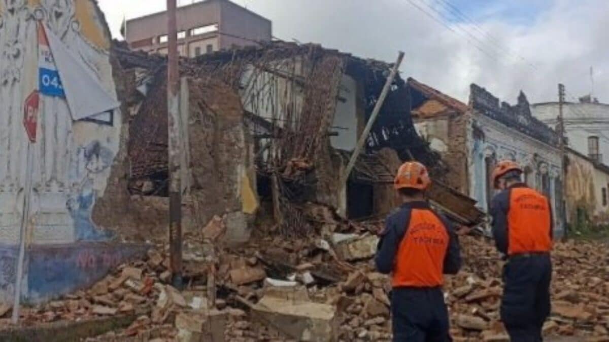 Borrador automático