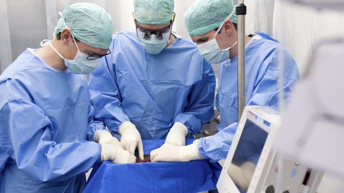 ¿Qué se requiere para la realización de un trasplante y cuáles son los cuidados posteriores?