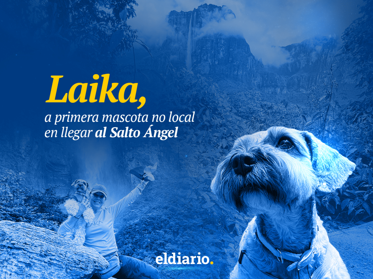 ESTA Laika, la primera mascota no local en llegar al Salto Ángel