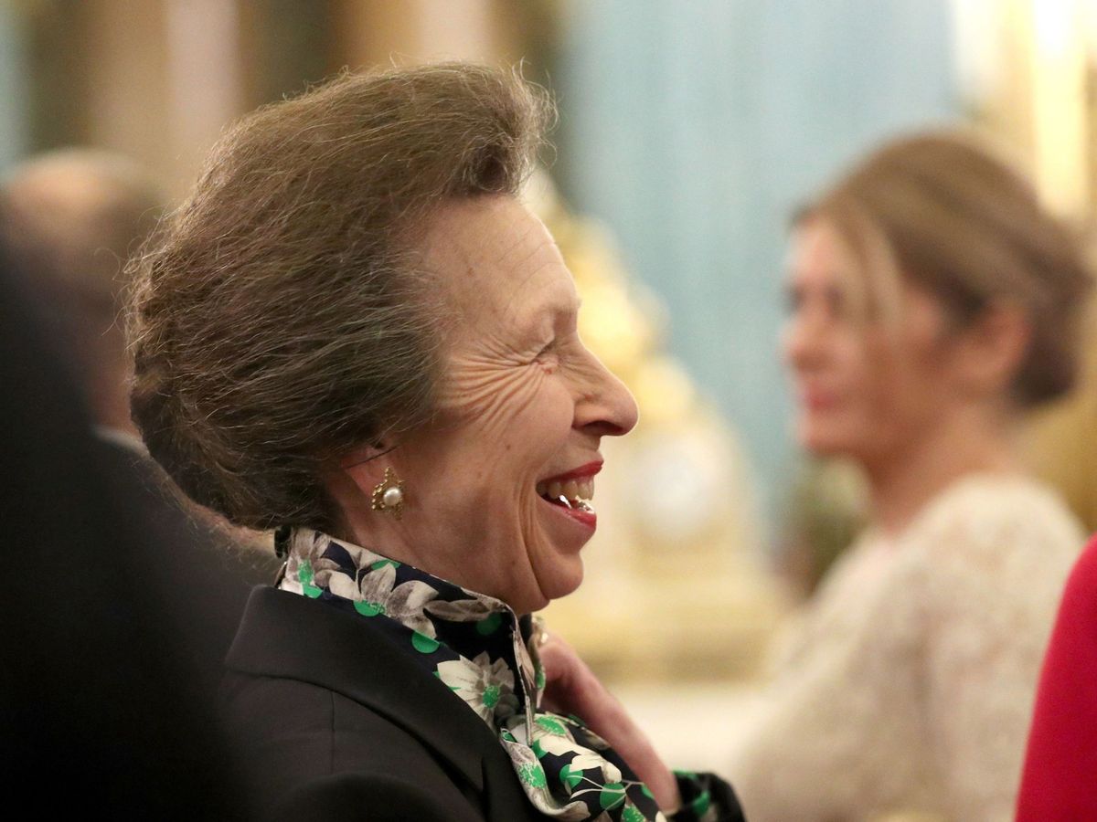 What is known regarding Princess Anne's health following suffering an accident with a horse