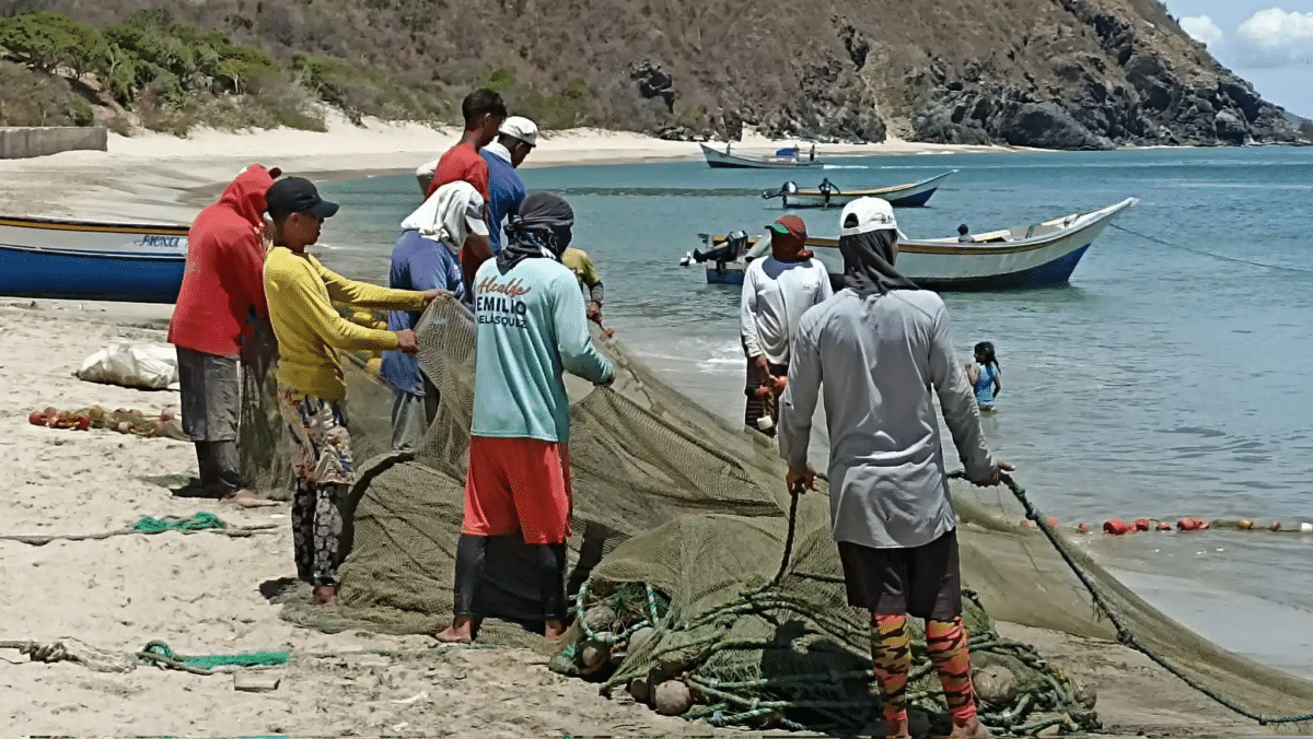 The impact of climate change on artisanal fishing on the coasts of Venezuela