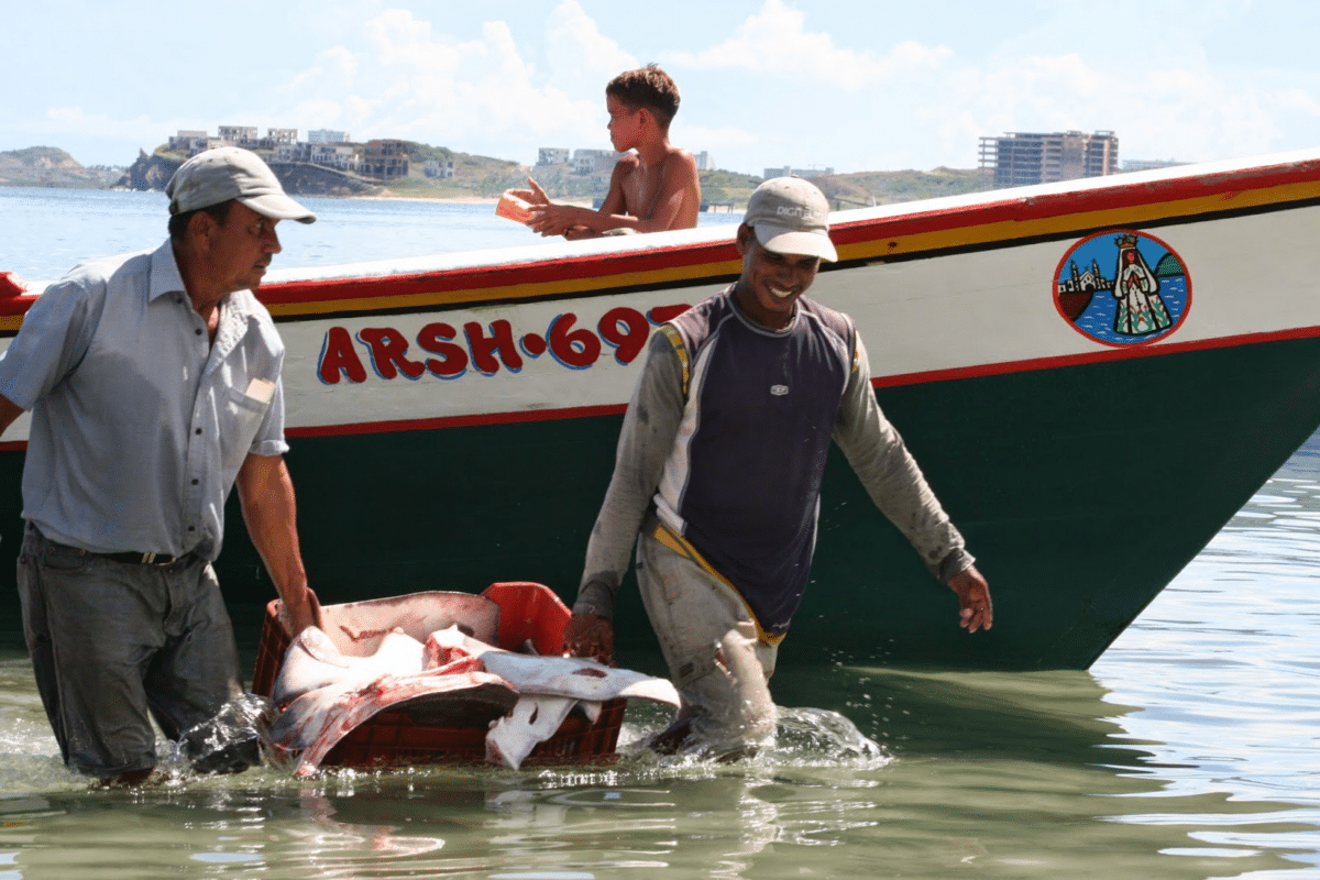 The impact of climate change on artisanal fishing on the coasts of Venezuela