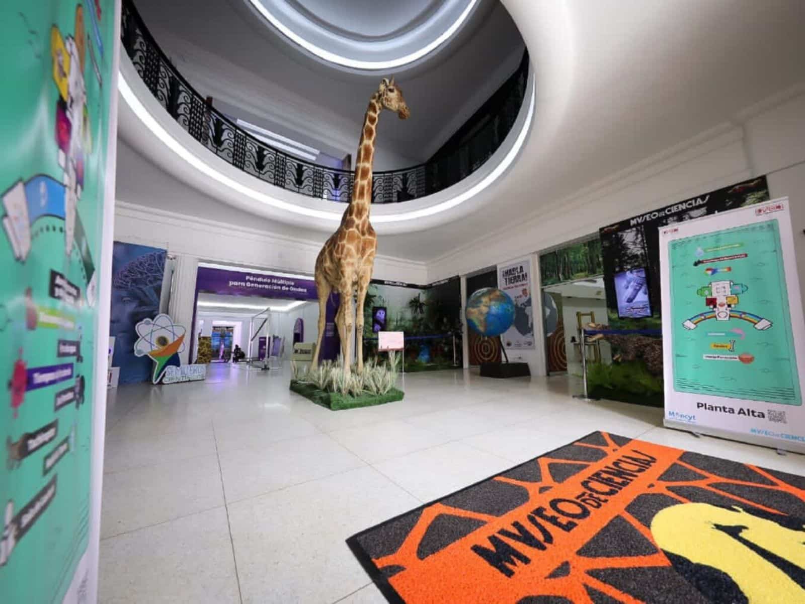 Science Museum briefly closed its doorways: when will it reopen?