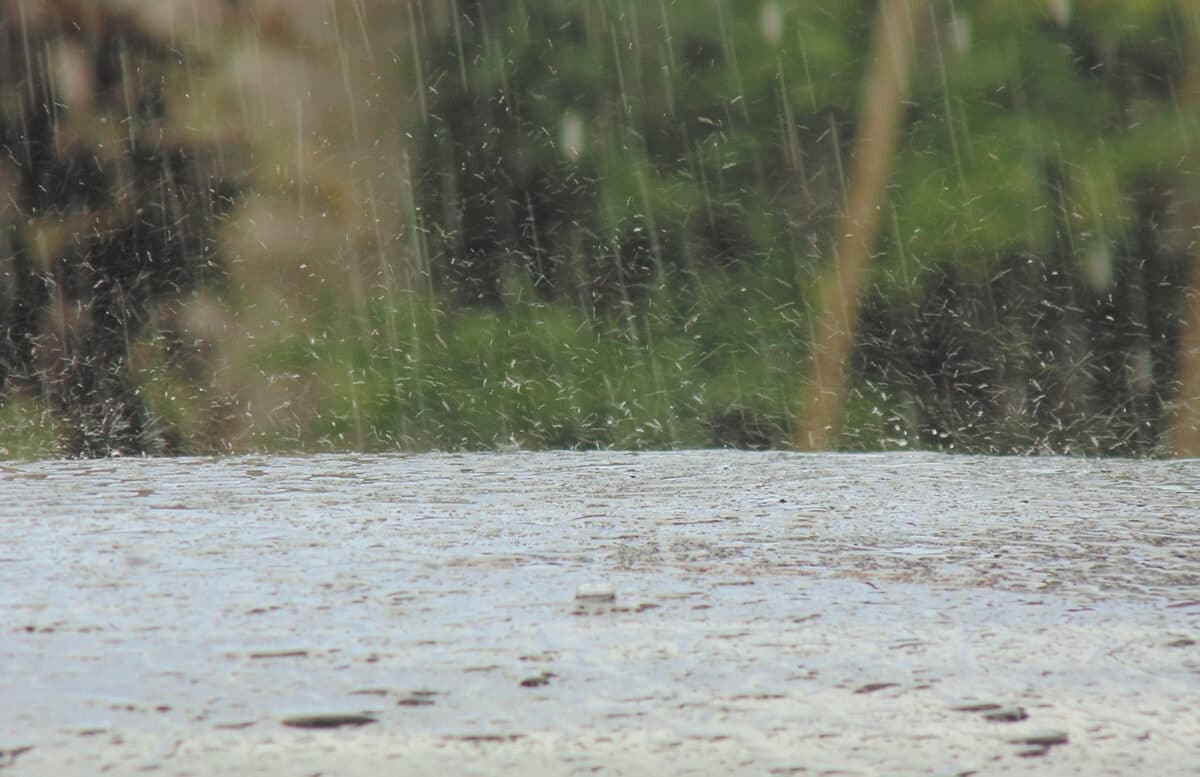 Prevén lluvias en gran parte del territorio venezolano por la cuarta onda tropical de la temporada