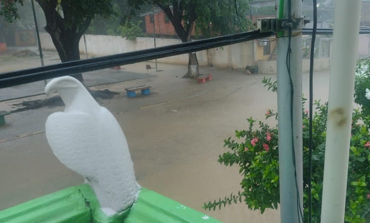 In pictures: Floods in Cumaná affected several homes