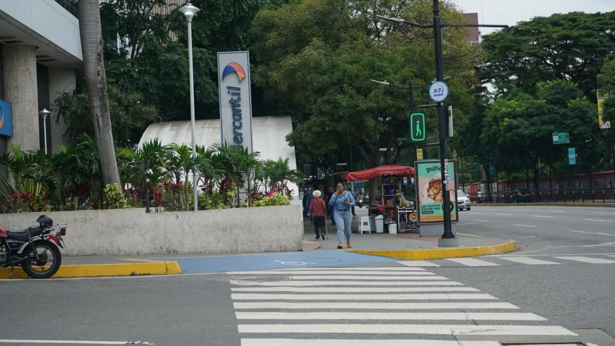 Borrador automático