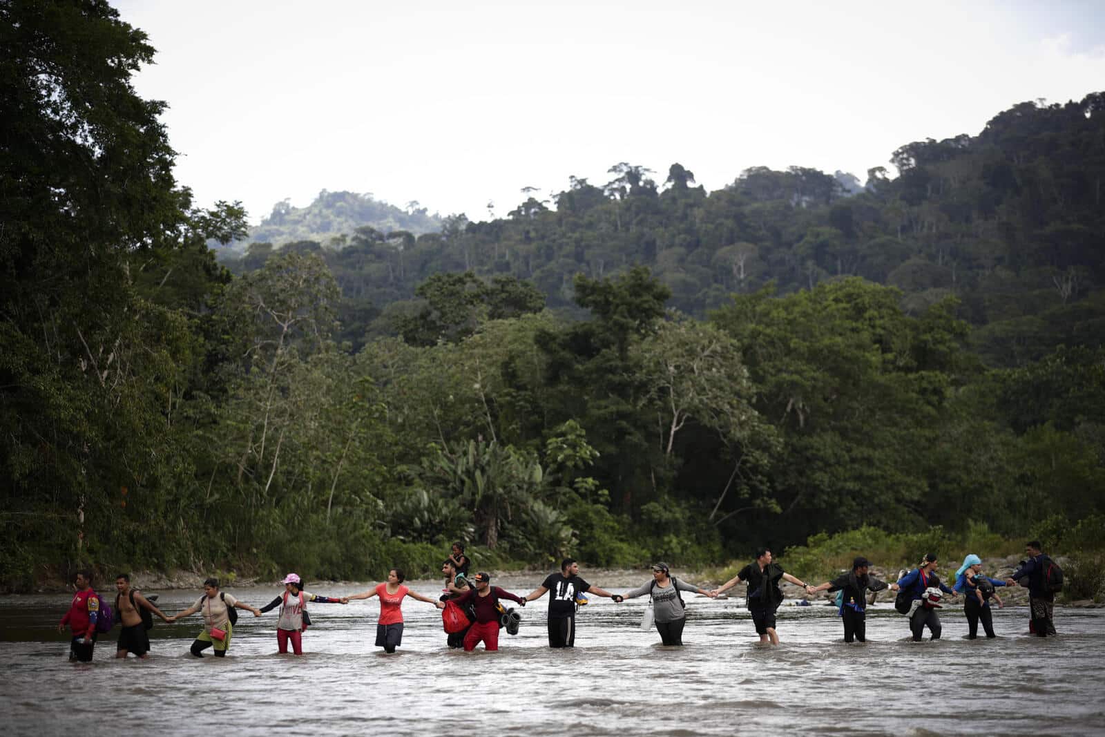 A gang that illegally brought in migrants from Venezuela was dismantled in Colombia