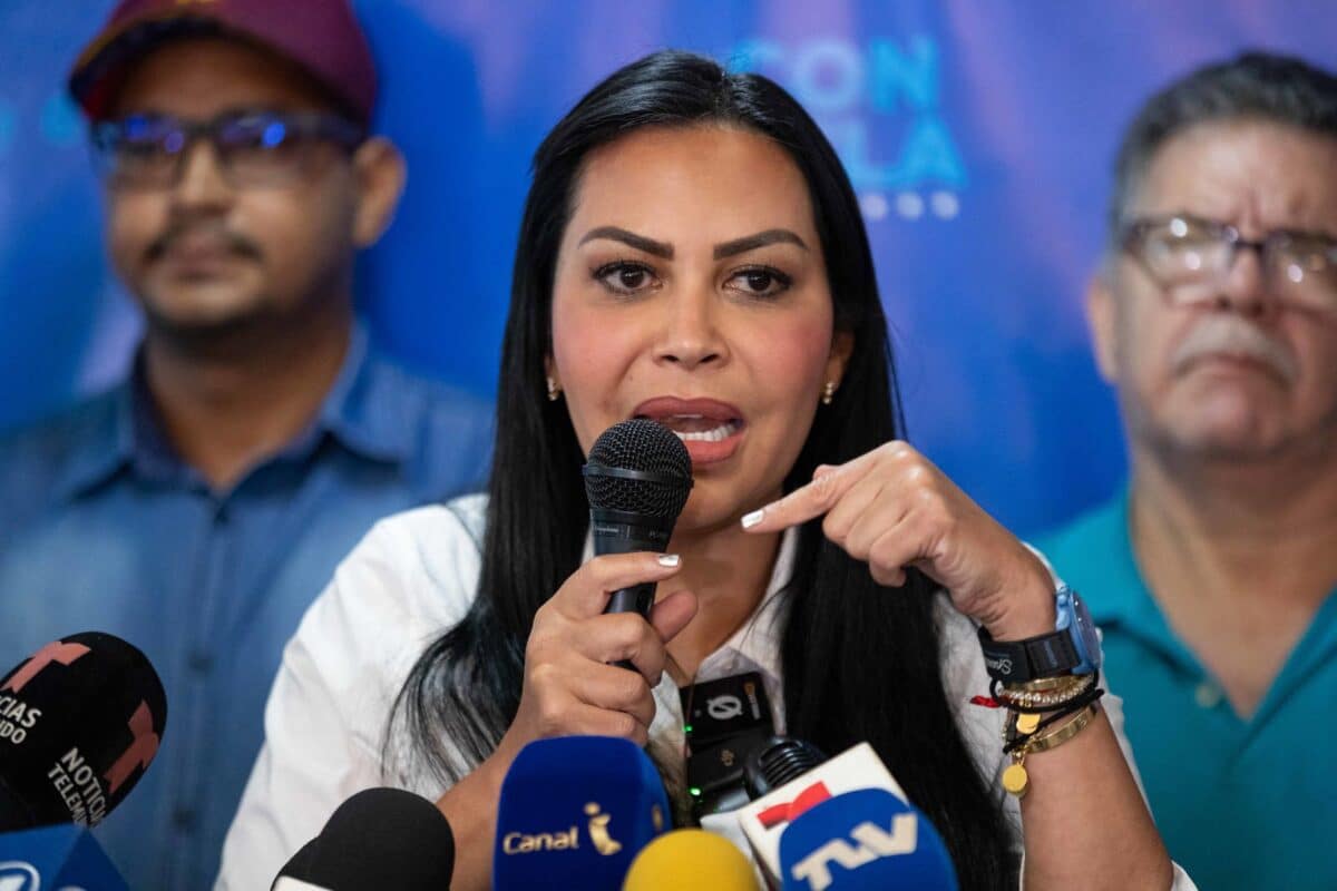 Delsa Solórzano y Perkins Rocha denunciaron que recurso admitido por la Sala Electoral del TSJ no existe en la legislación venezolana 