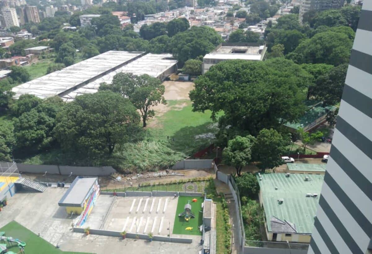 Lluvias con ráfagas de viento provocaron inundaciones y la caída de varios árboles en Caracas