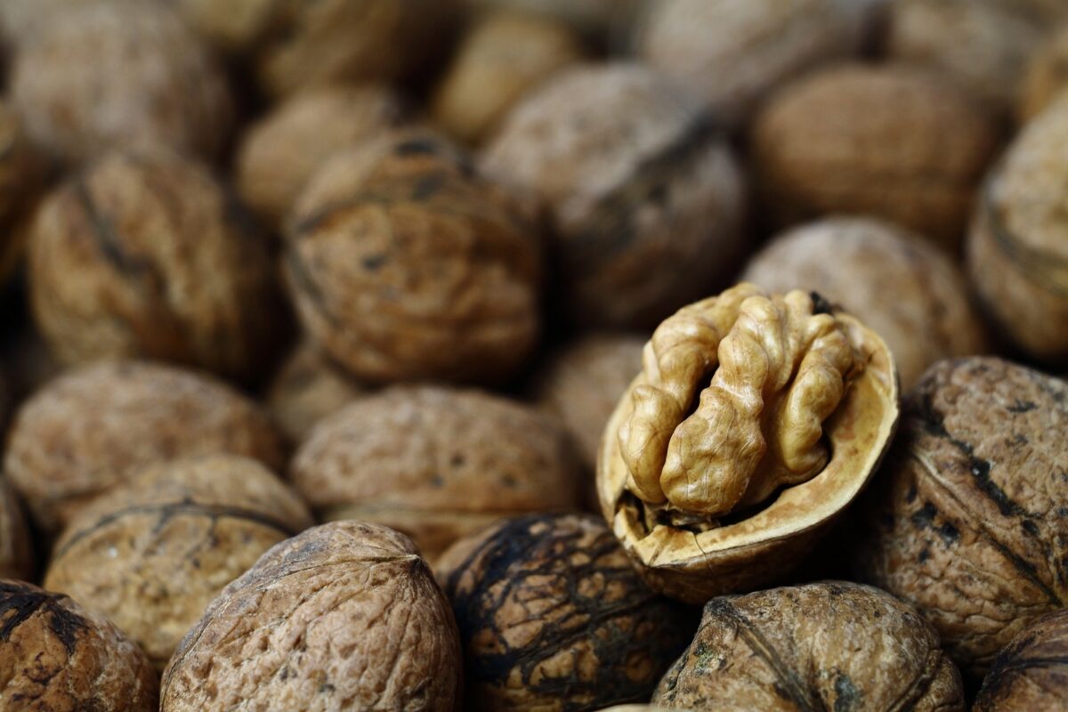 Cómo almacenar correctamente los alimentos no perecederos
