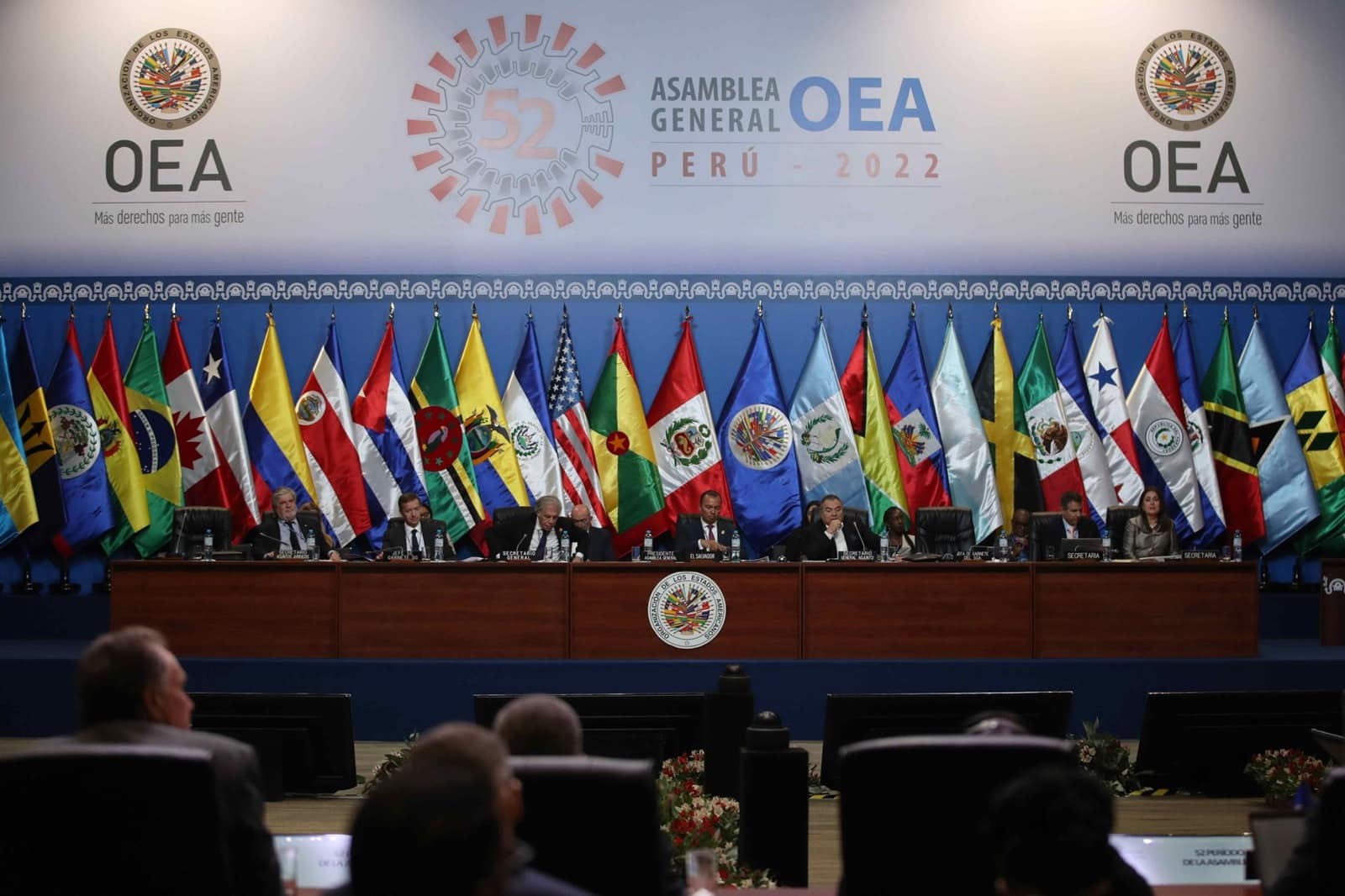 La OEA votará por una nueva resolución sobre la situación postelectoral en Venezuela 