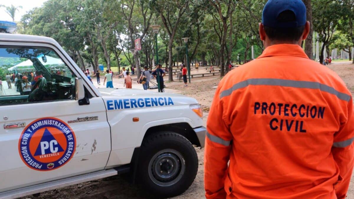 Niño de 11 años de edad murió por la caída de un árbol en Anzoátegui