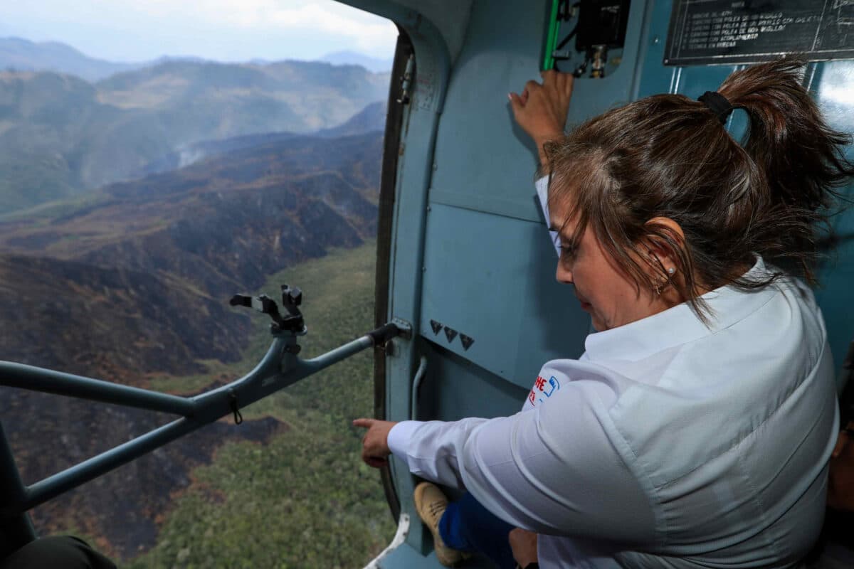 #TeExplicamos | Incendios forestales arrasan con miles de hectáreas en Suramérica