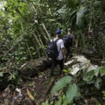 Autoridades de Panamá ultimaron a dos delincuentes que robaban a los migrantes en el Darién 