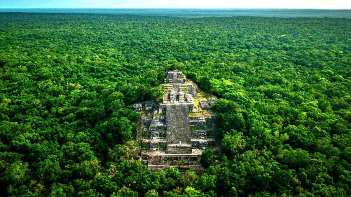 They discovered a Mayan city that remained hidden by vegetation in Mexico