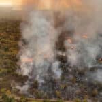 Suramérica registró cifra récord de incendios forestales en los últimos 14 años