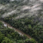 La Amazonía venezolana como parte integral de la Panamazonía