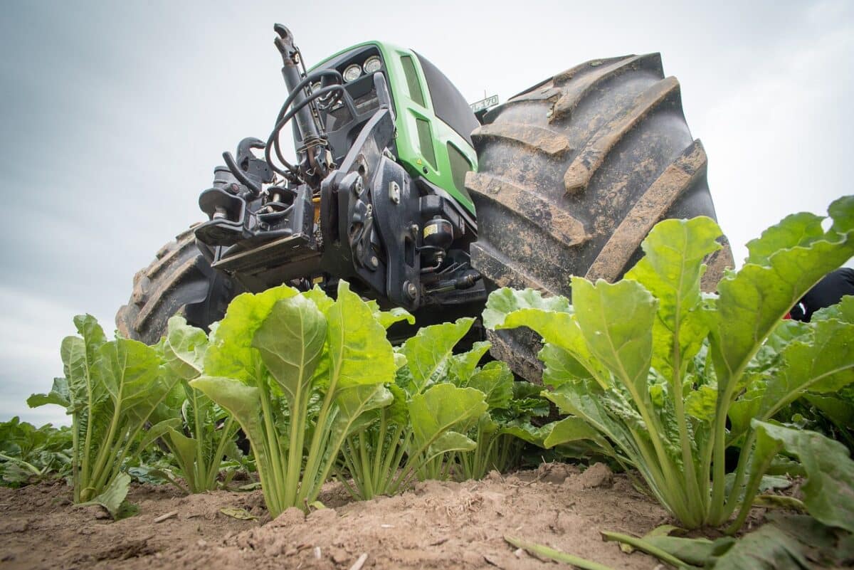 Ingenieros agrónomos de Venezuela acuerdan con España agilizar la homologación de títulos en el país europeo