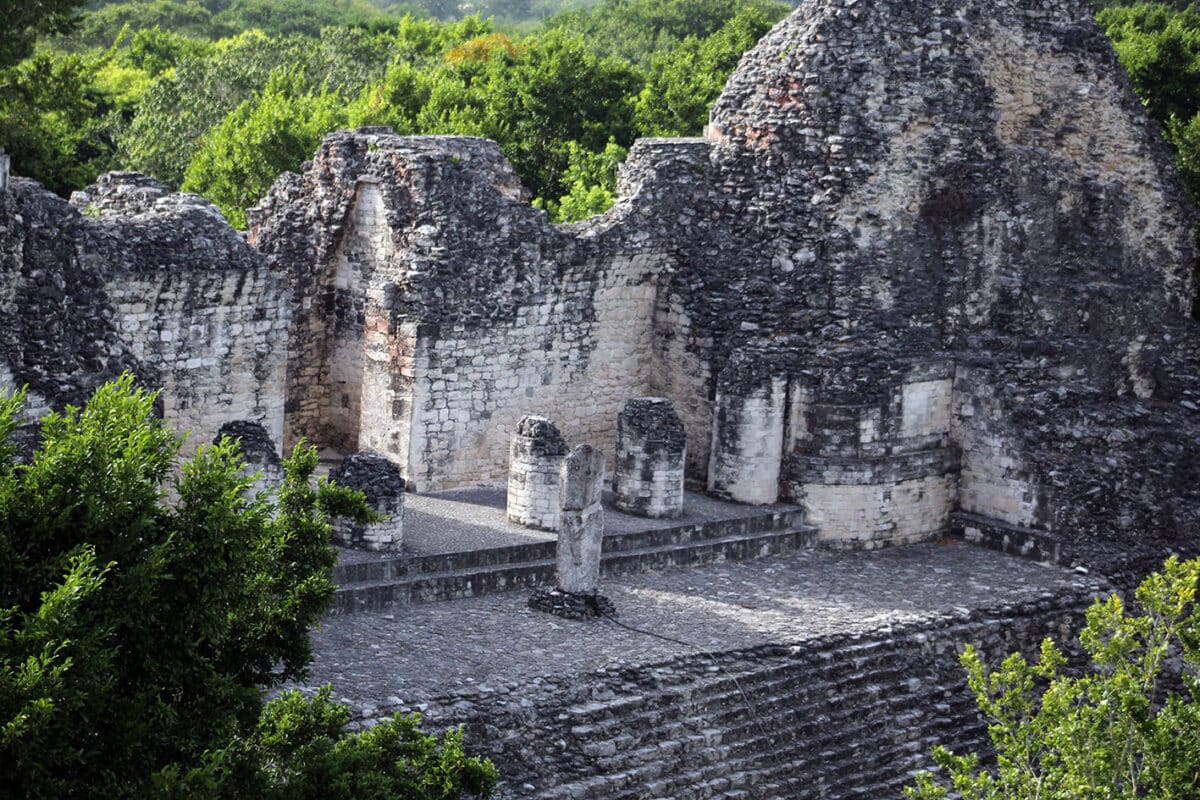 Descubrieron una ciudad maya que permanecía oculta por la vegetación en México