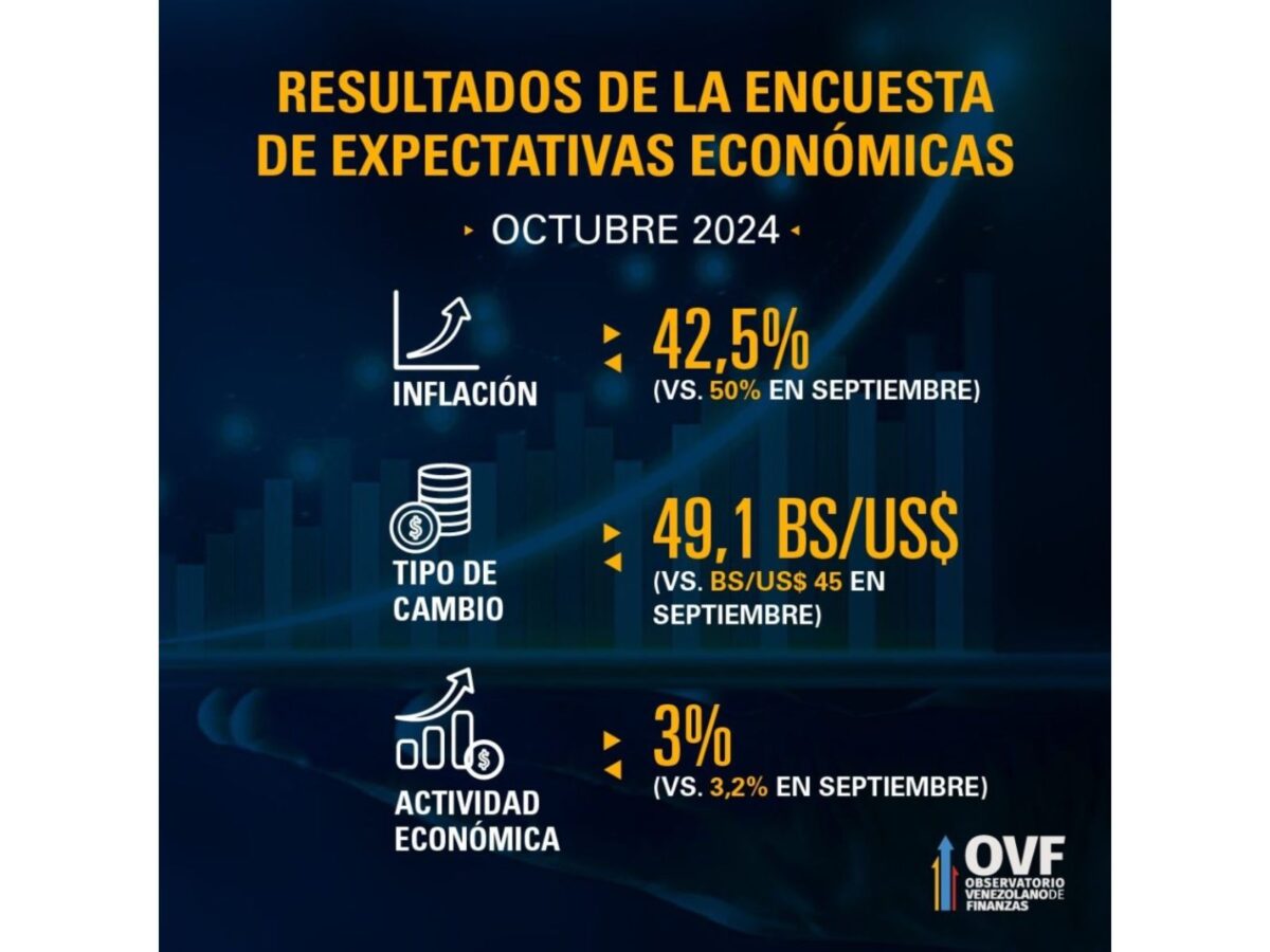 El OVF prevé que el precio del dólar oficial alcance los Bs. 49 a finales de 2024 